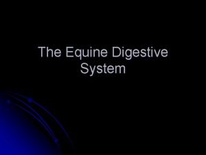 Digestive system objectives