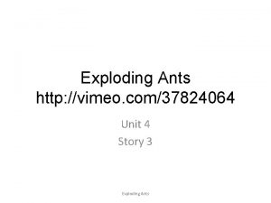 Exploding Ants http vimeo com37824064 Unit 4 Story