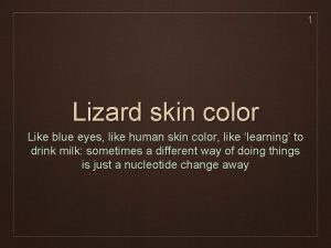 1 Lizard skin color Like blue eyes like