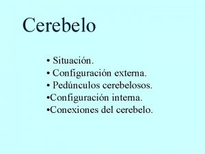 Nucleos del cerebelo