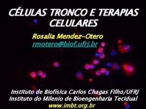 CLULAS TRONCO E TERAPIAS CELULARES Rosalia MendezOtero rmoterobiof