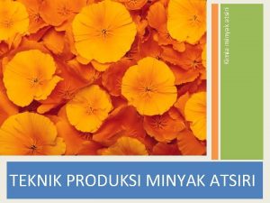 Kimia minyak atsiri TEKNIK PRODUKSI MINYAK ATSIRI PRODUCTION