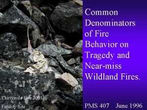 Common Denominators of Fire Behavior on Tragedy and