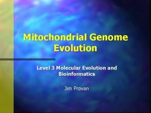 Mitochondrial Genome Evolution Level 3 Molecular Evolution and