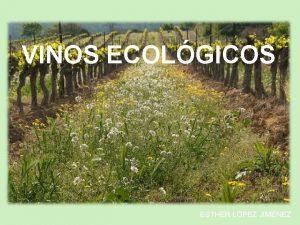 VINOS ECOLGICOS ESTHER LPEZ JIMNEZ VITICULTURA La viticultura