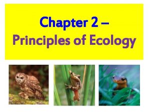 Chapter 2 section 1 organisms and their relationships