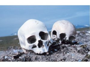 What the bones tell us worksheet answers