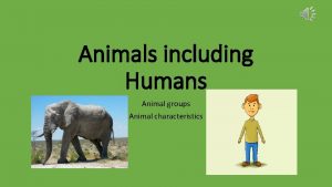 Animals including Humans Animal groups Animal characteristics What