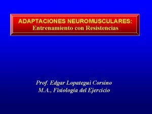 ADAPTACIONES NEUROMUSCULARES Entrenamiento con Resistencias Prof Edgar Lopategui