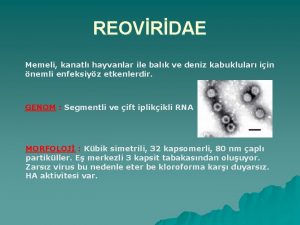 REOVRDAE Memeli kanatl hayvanlar ile balk ve deniz