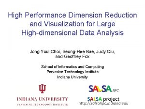 High Performance Dimension Reduction and Visualization for Large