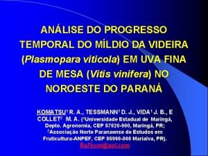 ANLISE DO PROGRESSO TEMPORAL DO MLDIO DA VIDEIRA