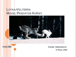 LOTKAVOLTERRA MODEL PREDTOR KOIST KMAMM Kamila Matoukov V