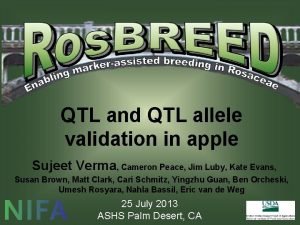 QTL and QTL allele validation in apple Sujeet