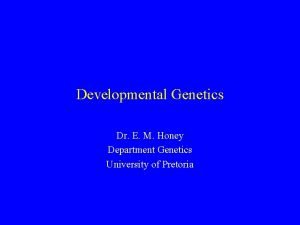 Developmental Genetics Dr E M Honey Department Genetics
