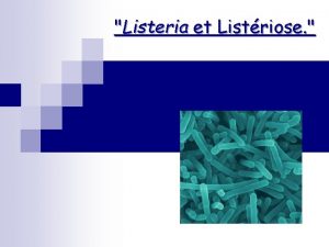 Listeria et Listriose Introduction n Le genre Listeria