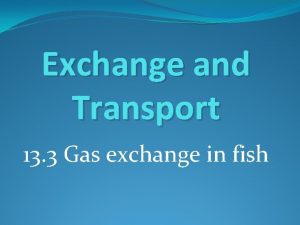 Countercurrent exchange in fish