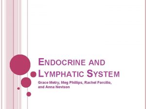 ENDOCRINE AND LYMPHATIC SYSTEM Grace Metry Meg Phillips