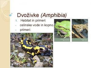 Dvoivke Amphibia 1 Habitat in primeri celinske vode