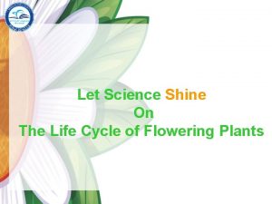 Let Science Shine On The Life Cycle of