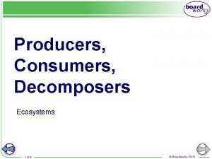 Producers consumers decomposers