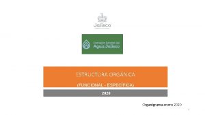 ESTRUCTURA ORGNICA FUNCIONAL ESPECFICA 2020 Organigrama enero 2020