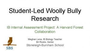 StudentLed Woolly Bully Research IB Internal Assessment Project