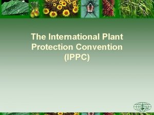The International Plant Protection Convention IPPC Outline of