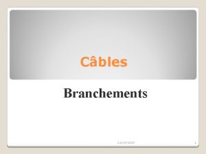 Cbles Branchements 11242020 1 NF C 33 210