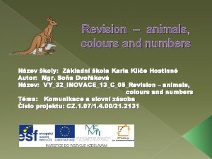 Revision animals colours and numbers Nzev koly Zkladn