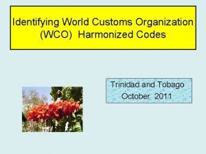 Identifying World Customs Organization WCO Harmonized Codes Trinidad