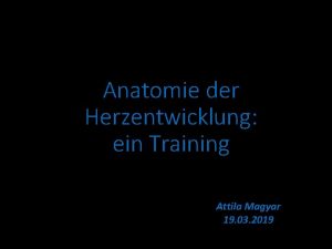 Anatomie der Herzentwicklung ein Training Attila Magyar 19