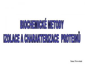 Jana Novotn Charakterizace proteinu 1 Molekulov hmotnost celho