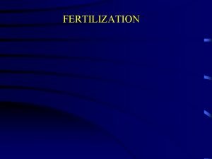 FERTILIZATION Fertilization The process by which the sperm