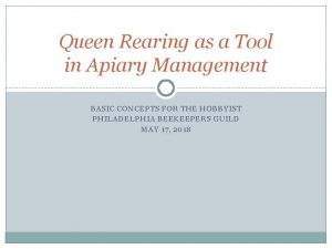 Hopkins method of queen rearing