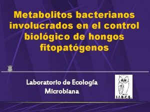 Metabolitos bacterianos involucrados en el control biolgico de