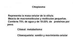 Citoplasma Representa la masa celular de la clula