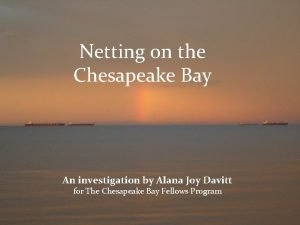 Netting on the Chesapeake Bay Fishing and Netting