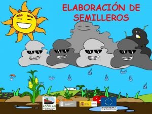 ELABORACIN DE SEMILLEROS QU ES SEMILLERO RAE Sitio