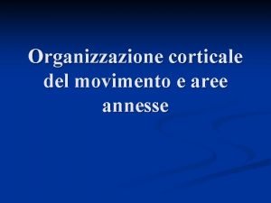 Organizzazione corticale del movimento e aree annesse Schema