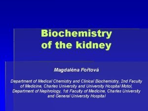 Biochemistry of the kidney Magdalna Fotov Department of