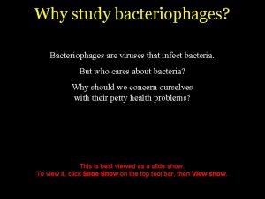 Why study bacteriophages Bacteriophages are viruses that infect