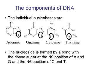 Components of rna