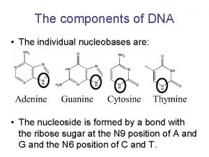 A dna