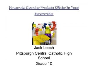 Household Cleaning Products Effects On Yeast Survivorship Jack