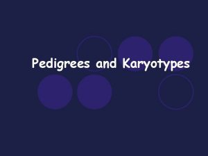 Pedigrees and Karyotypes Pedigree l A pedigree shows