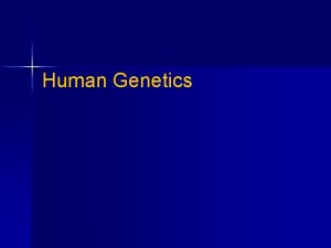 Human Genetics n The study of human genetics