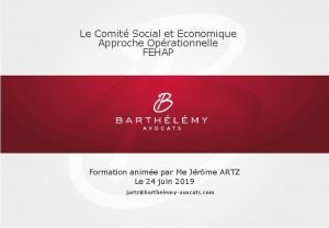 Le Comit Social et Economique Approche Oprationnelle FEHAP