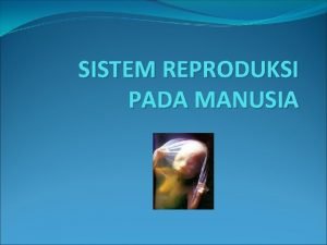 SISTEM REPRODUKSI PADA MANUSIA Reproduksi Setiap mahluk hidup