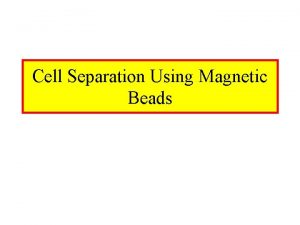 Macs magnetic separator